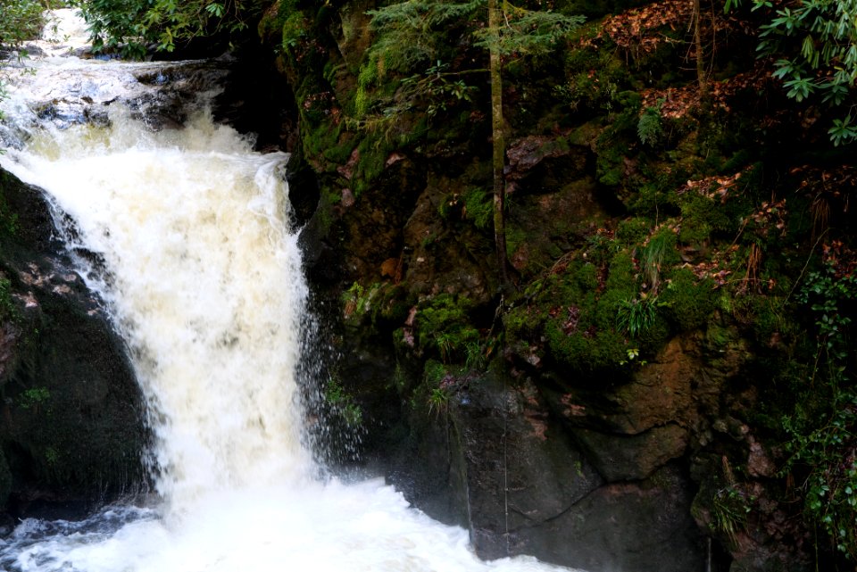 Geroldsau Waterfall 2020-03-13 51
