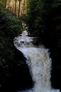 Geroldsau Waterfall 2020-03-13 33