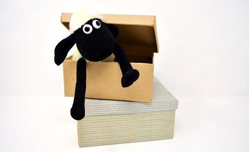 Cardboard box open carton open