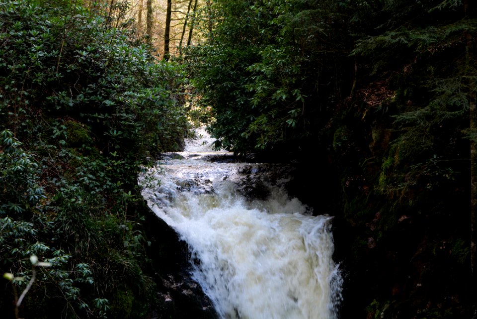 Geroldsau Waterfall 2020-03-13 28