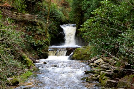 Geroldsau Waterfall 2020-03-13 64