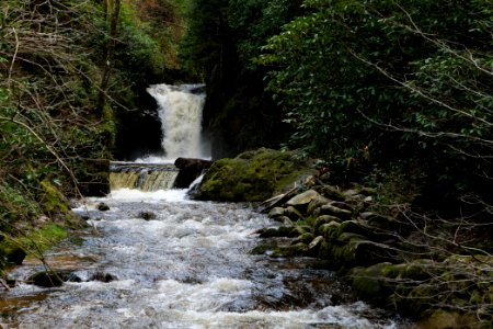 Geroldsau Waterfall 2020-03-13 70