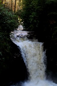 Geroldsau Waterfall 2020-03-13 34