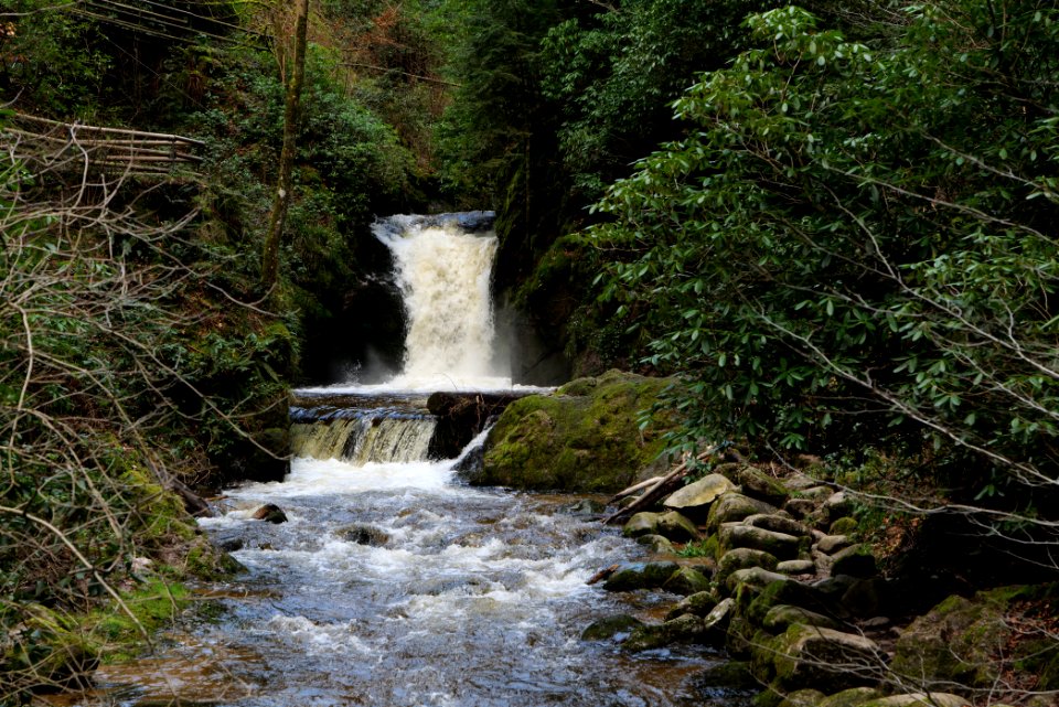 Geroldsau Waterfall 2020-03-13 58