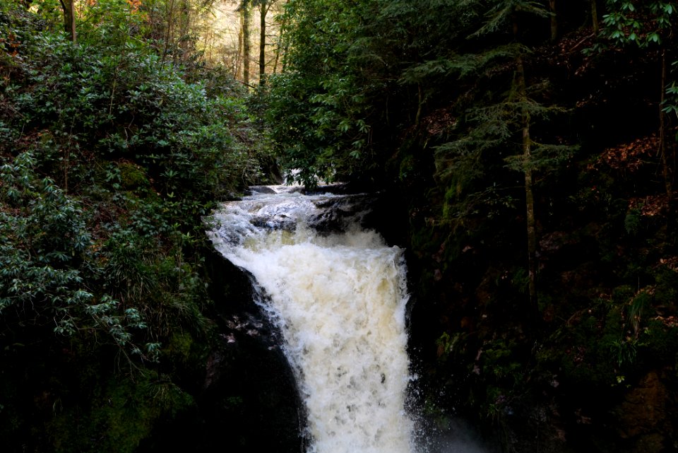 Geroldsau Waterfall 2020-03-13 44