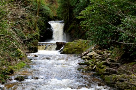 Geroldsau Waterfall 2020-03-13 66