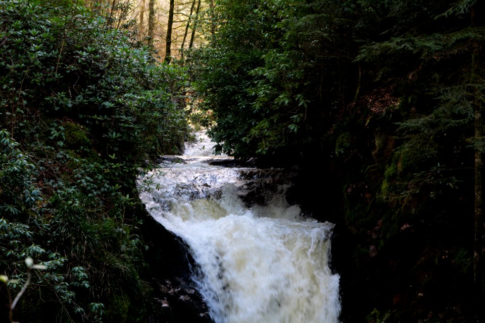 Geroldsau Waterfall 2020-03-13 27