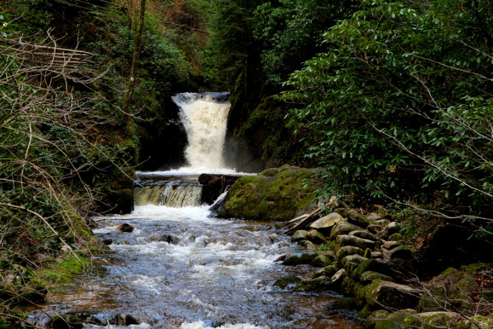 Geroldsau Waterfall 2020-03-13 59