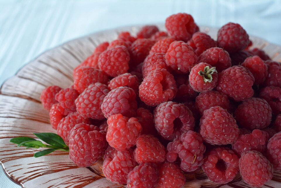 Fruit garden sweet