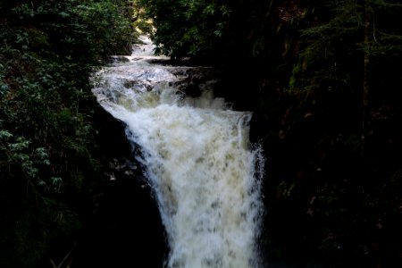 Geroldsau Waterfall 2020-03-13 18