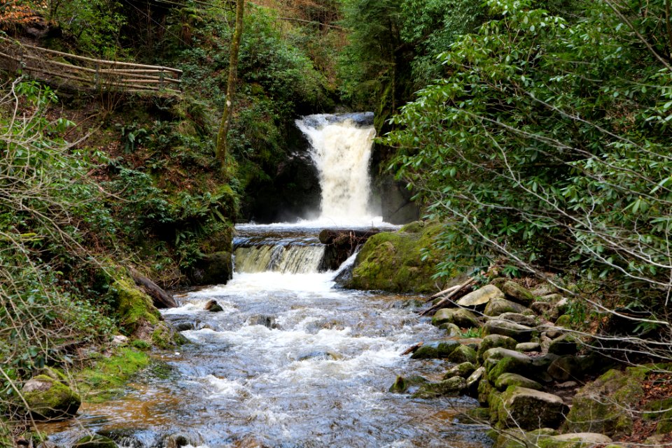 Geroldsau Waterfall 2020-03-13 60