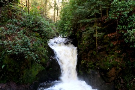 Geroldsau Waterfall 2020-03-13 48
