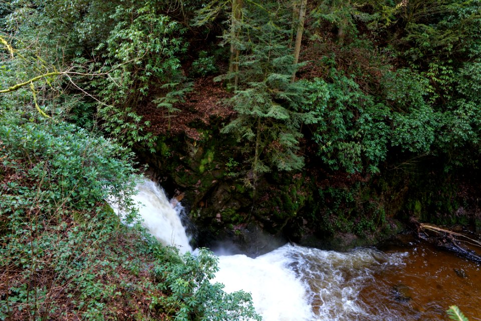Geroldsau Waterfall 2020-03-13 16