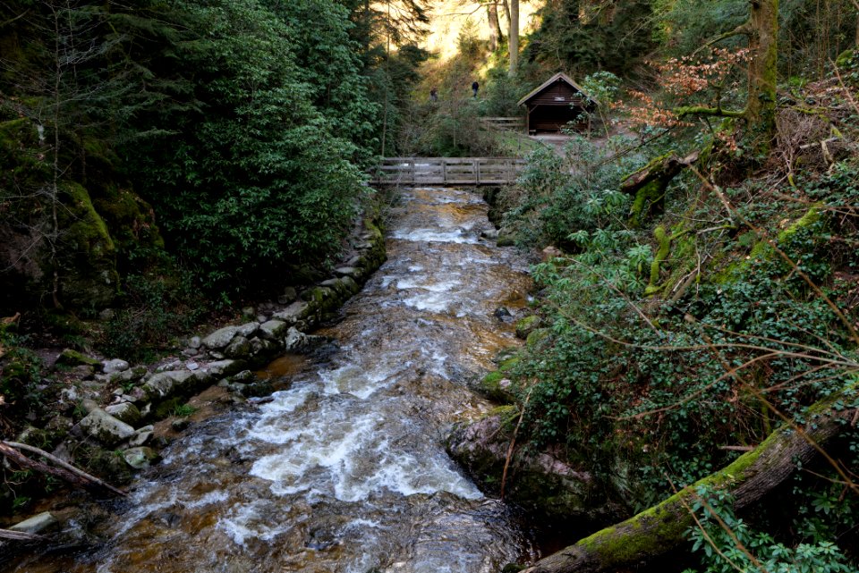 Geroldsau Waterfall 2020-03-13 41