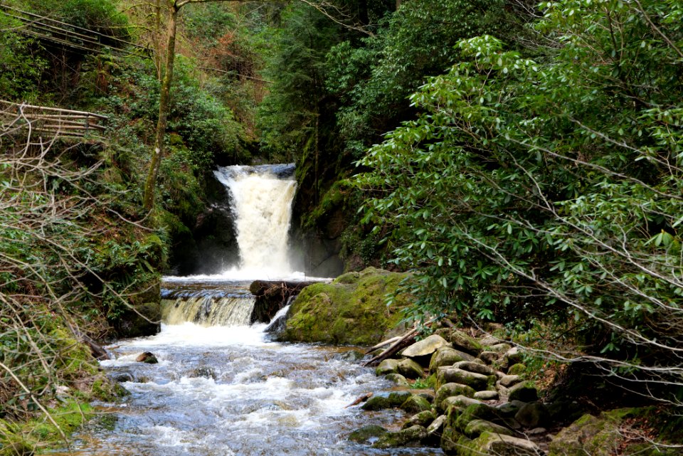 Geroldsau Waterfall 2020-03-13 55