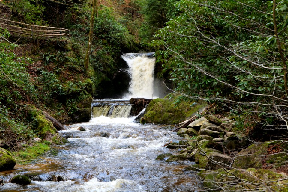 Geroldsau Waterfall 2020-03-13 62