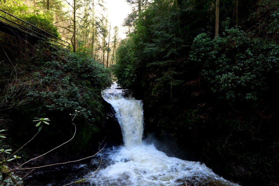 Geroldsau Waterfall 2020-03-13 32