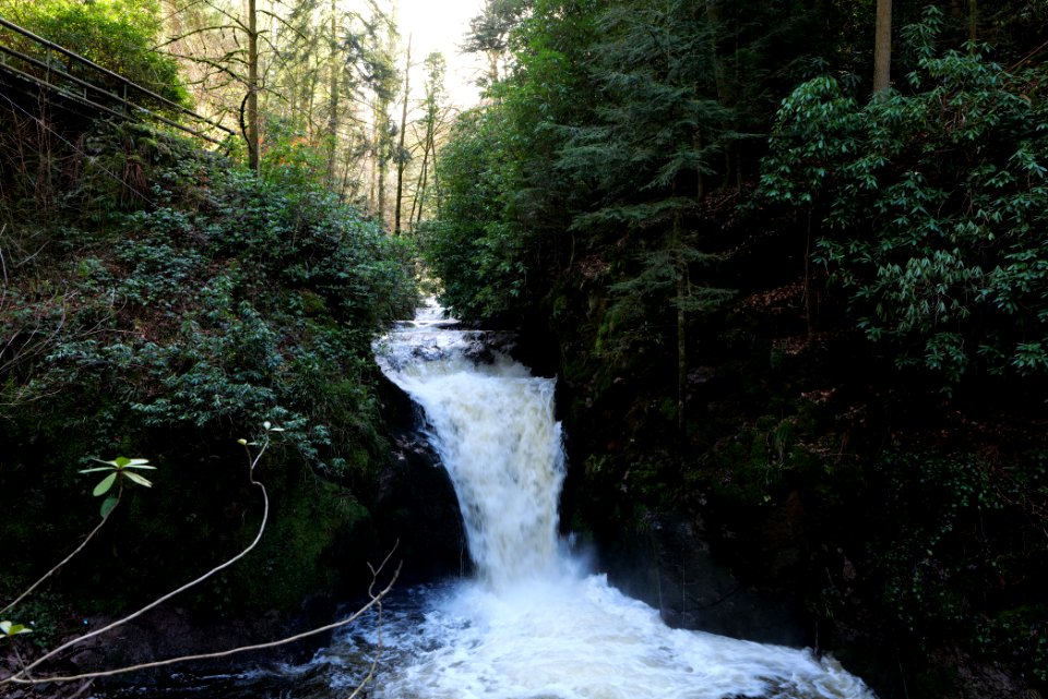 Geroldsau Waterfall 2020-03-13 31