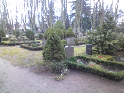 Germany. Wittenburg 003