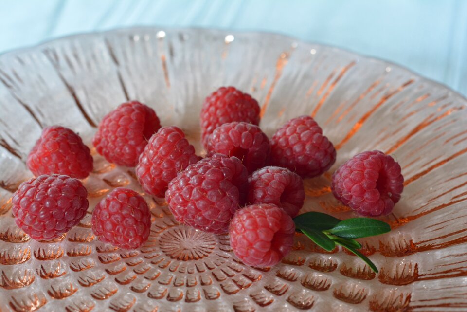 Fruit garden sweet