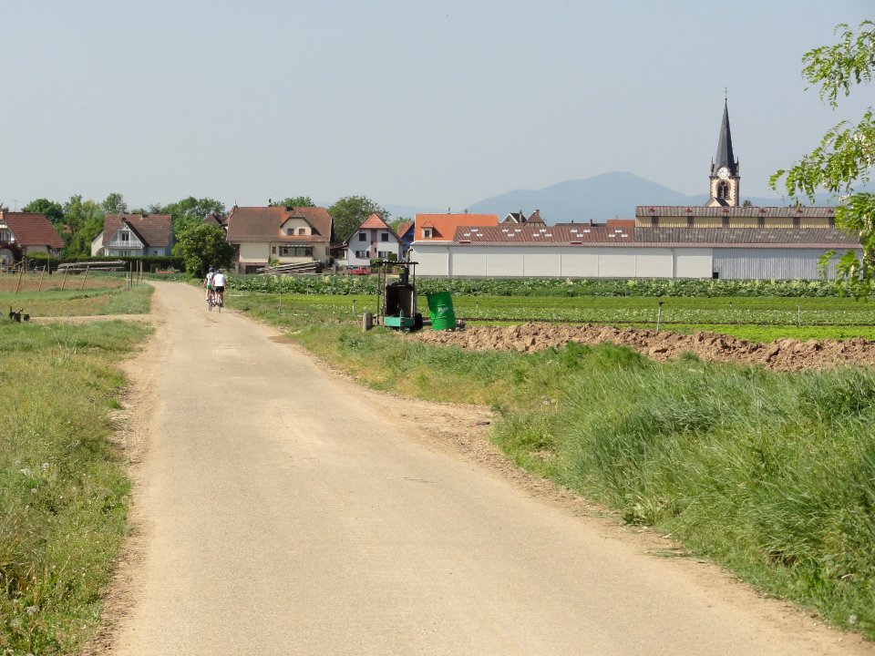 Innenheim (Bas-Rhin) véloroute, vue du village