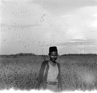 Indonesische man staat in een rijstveld Zijn kleding is besmeurd met modder H…, Bestanddeelnr 6086