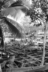 Indonesië, Borneo, Bestanddeelnr 1553-1-4