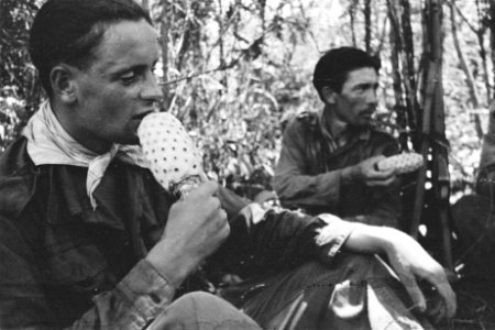 Inheemse militairen eten ananas, Bestanddeelnr 187-5-4