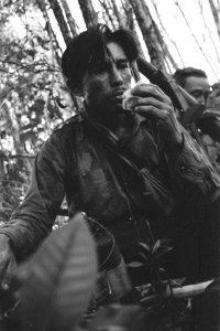 Inheemse militairen eten ananas, Bestanddeelnr 187-5-5
