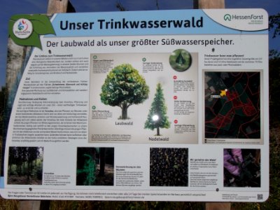 Infotafel "Unser Trinkwasserwald" R0017778
