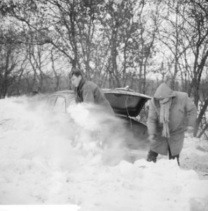Ingesneeuwde autos, Bestanddeelnr 914-6686