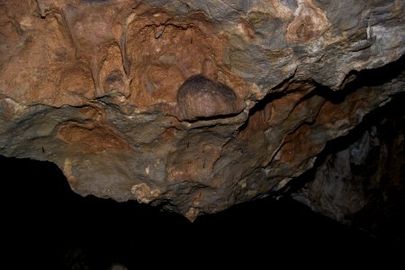 Kirchenweghöhle (C 17) 180