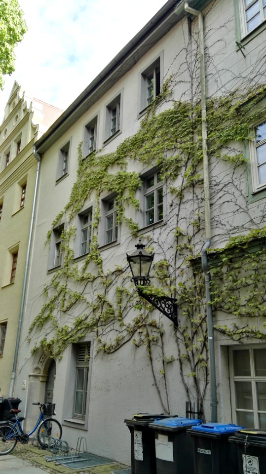 Kirchplatz wittenberg mai2017 - 5