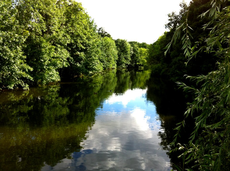 Kirchteich Halle (Saale) 01