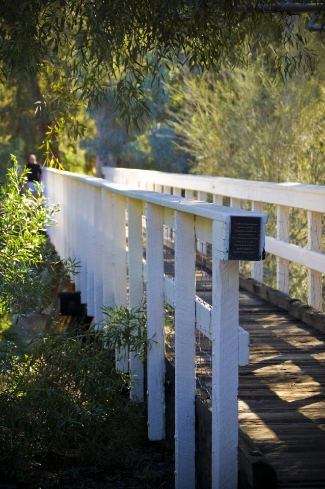 Peaceful walk park