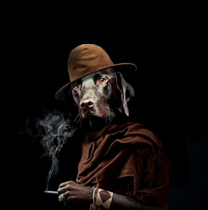 Male people portrait
