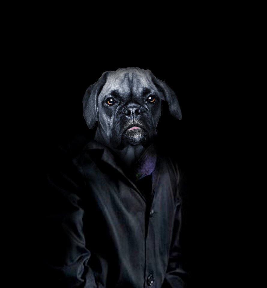 Darkness halloween a