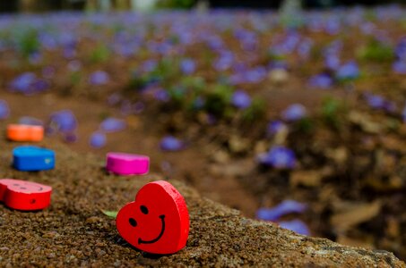 Smile soil flowers