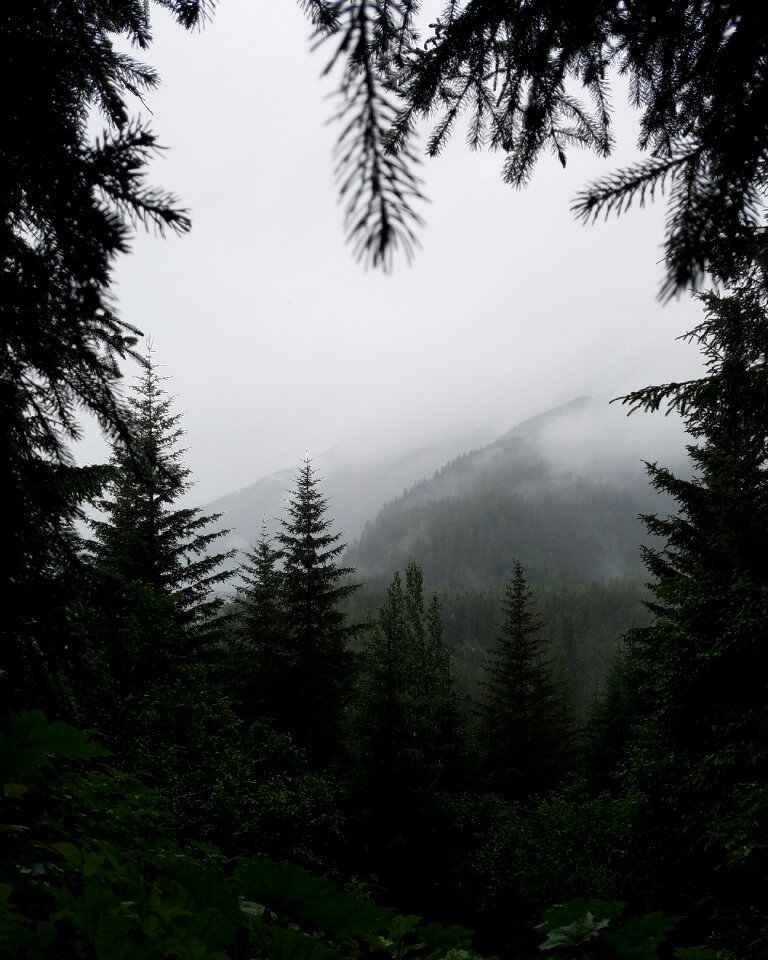 Nature valley hill