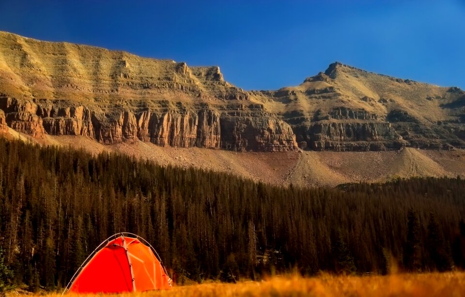 Woods landscape tent