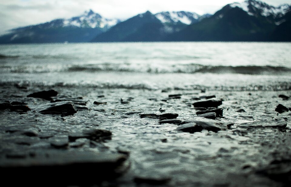Nature ice winter