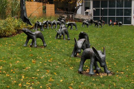 City grass installation