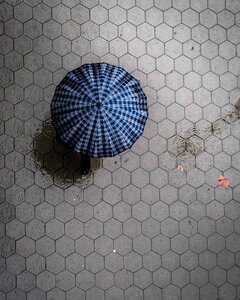 Street water gray rain