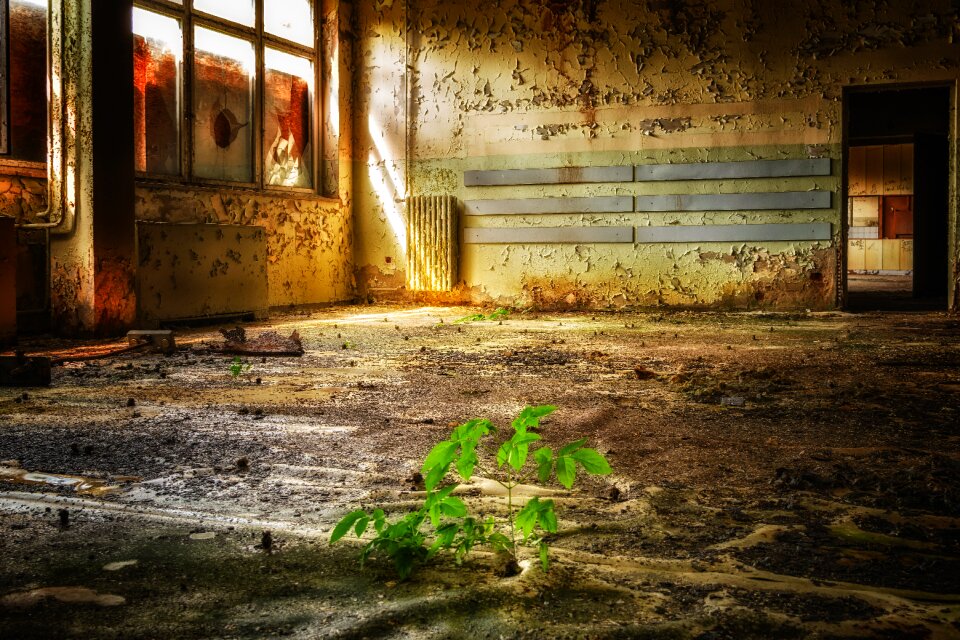 Decay break up past