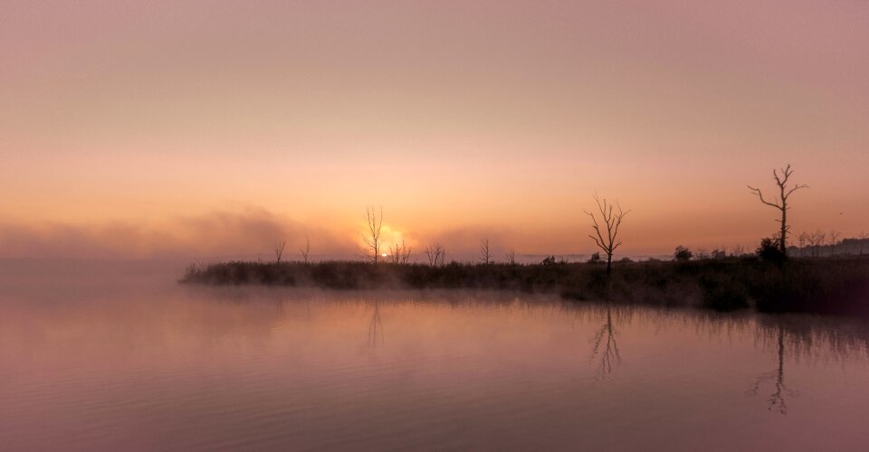 Nature summer morning photo