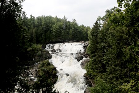 Waterfall trees forest