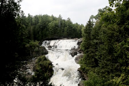 Waterfall trees forest photo