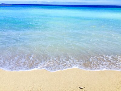 Blue hawaii aloha