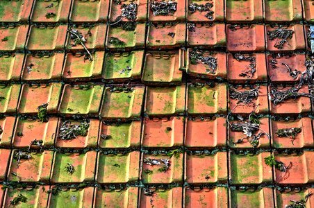 Roof tiles ceramic terracotta photo