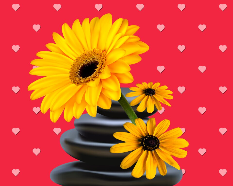 Floral summer flowers
